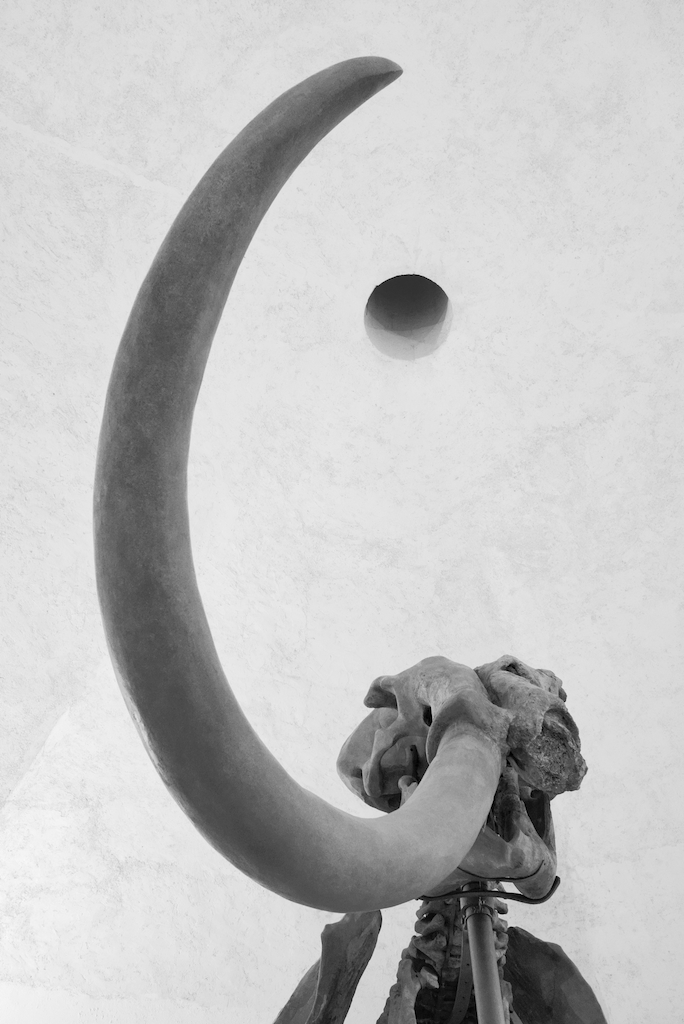 &ldquo;Ju Mammut&rdquo; (L&rsquo;Aquila)