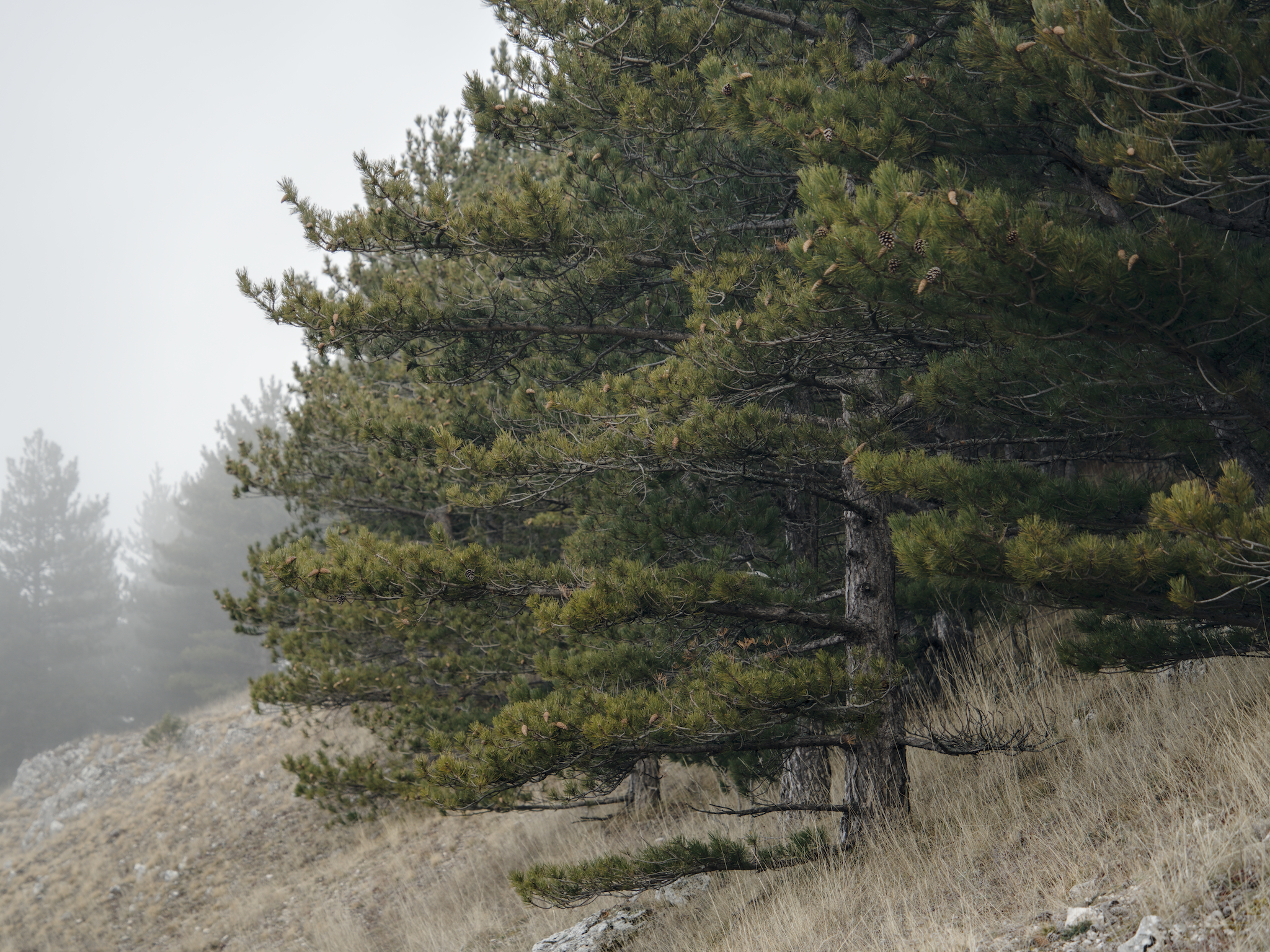 Dintorni di L&rsquo;Aquila (Abruzzo)