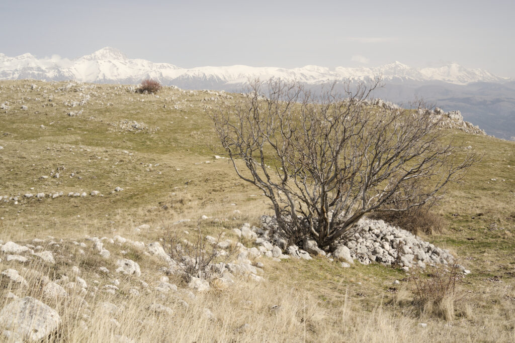 Dintorni di L'Aquila (Abruzzo). 07 Marzo 2026.
