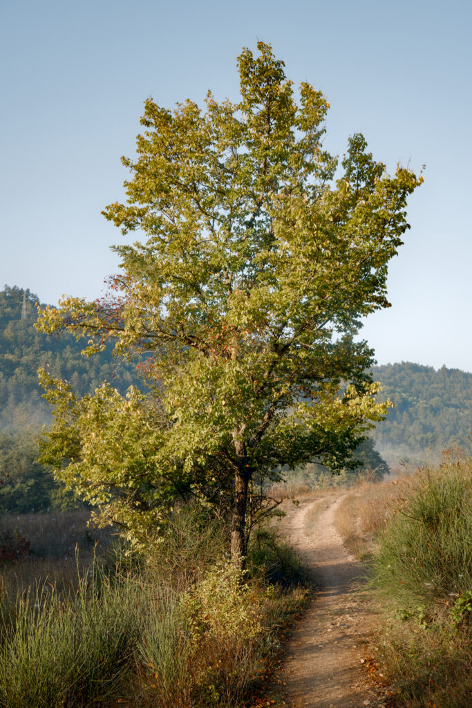 Dintorni di L'Aquila, Abruzzo. 7 Ottobre 2023.