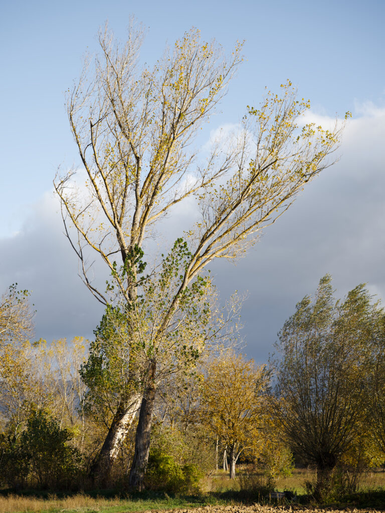 Dintorni di L'Aquila, Abruzzo. 28 Ottobre 2023.