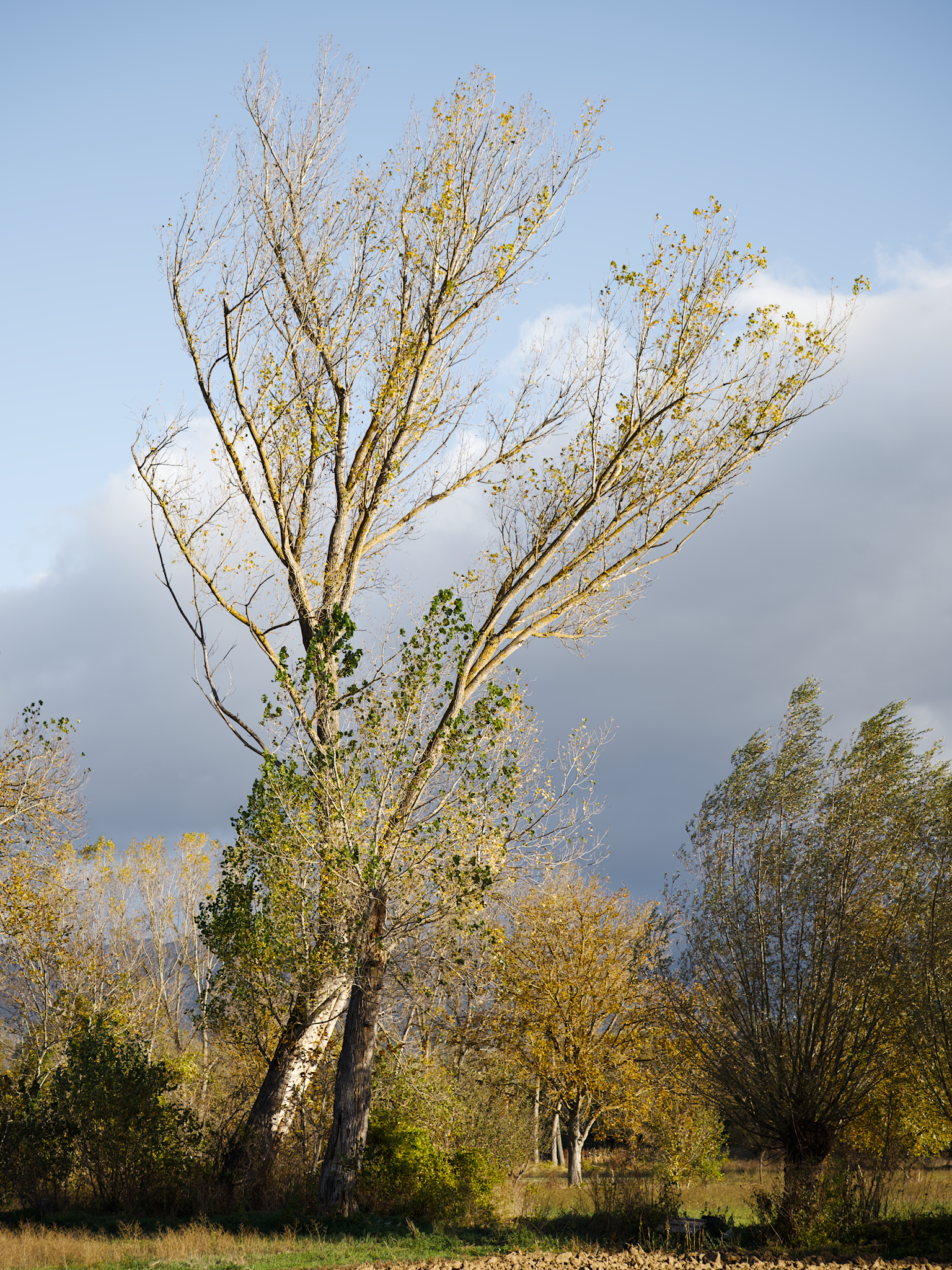 Dintorni di L'Aquila, Abruzzo. 28 Ottobre 2023.